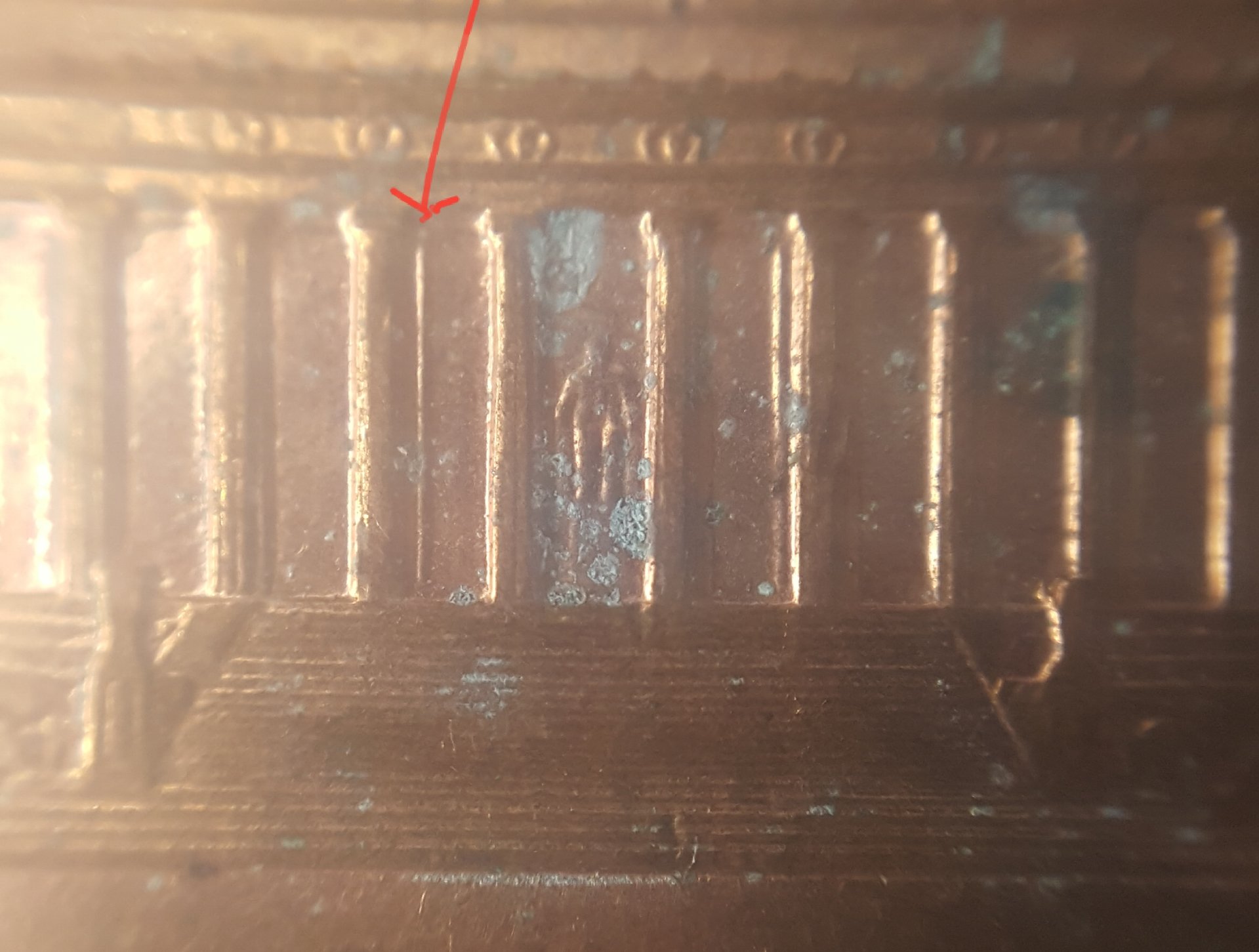 20190530_074415.jpg