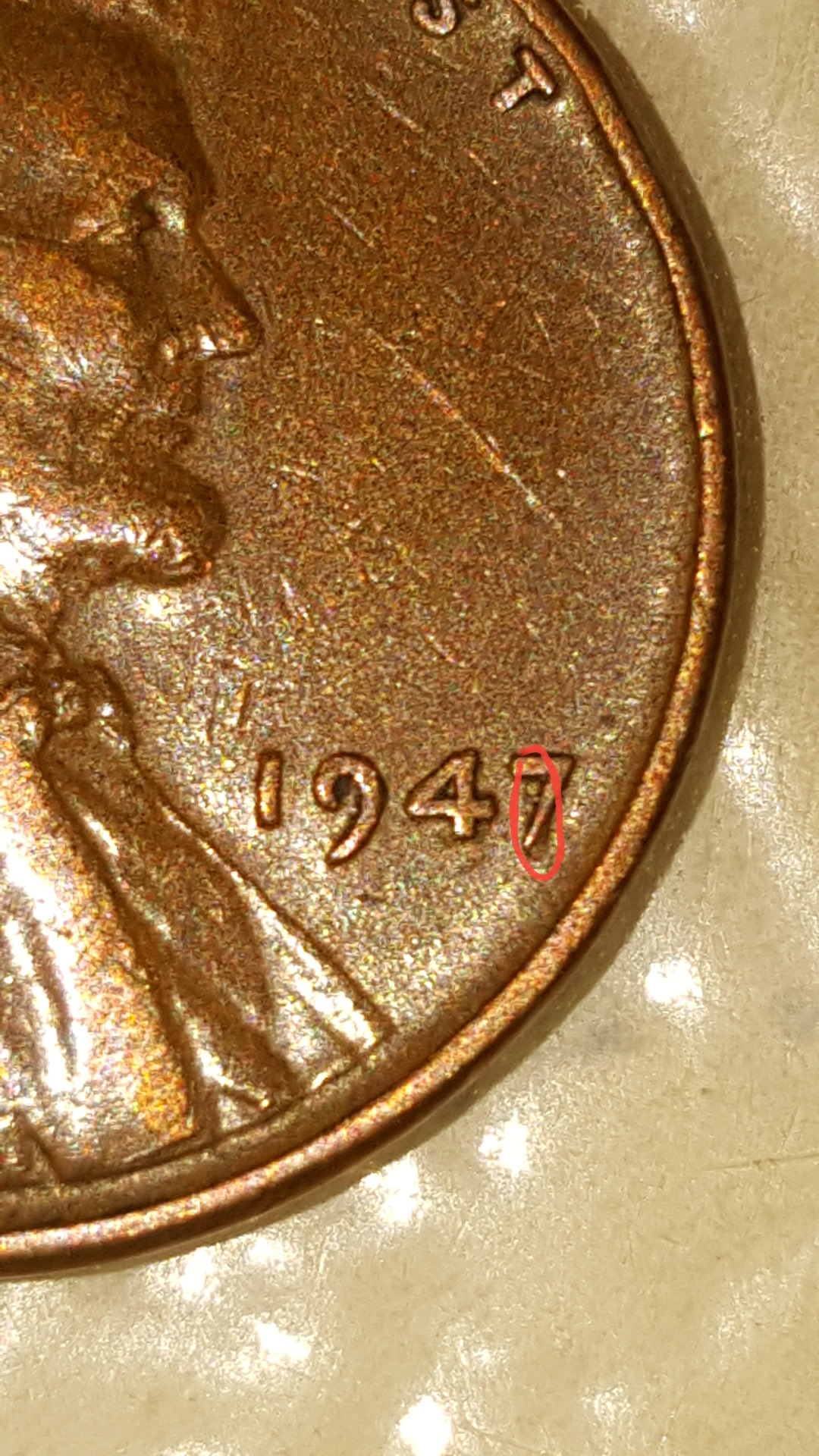 20190605_104251.jpg