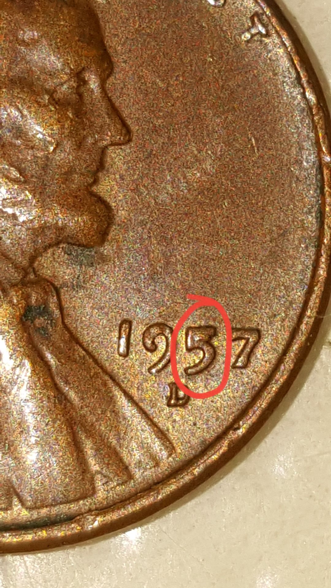 20190605_165455.jpg