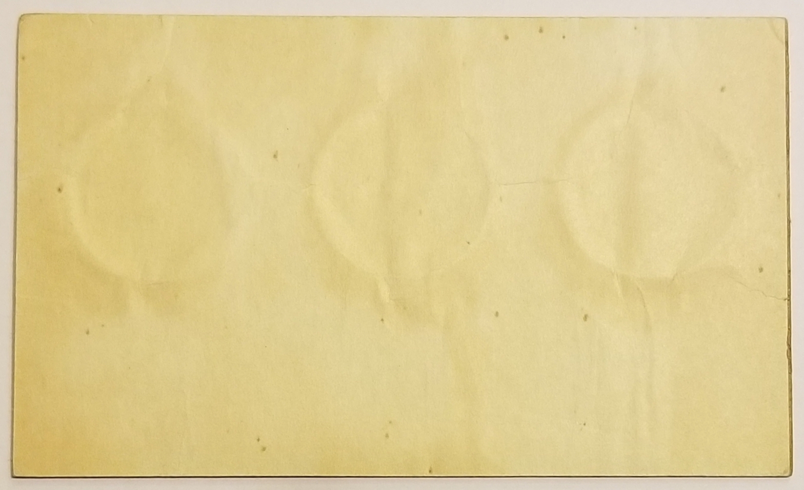20190607_155529.jpg