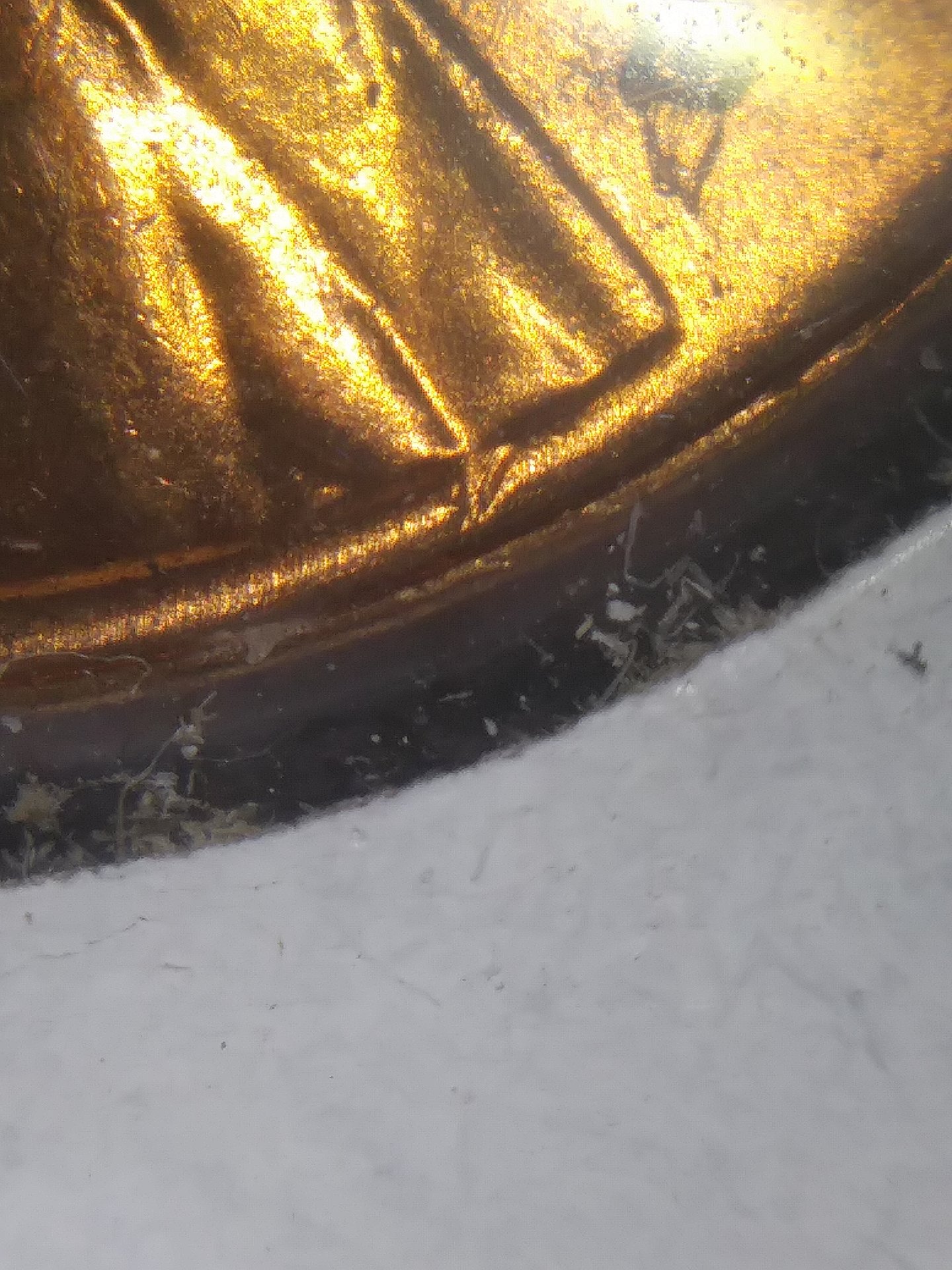 20190607_183126.jpg