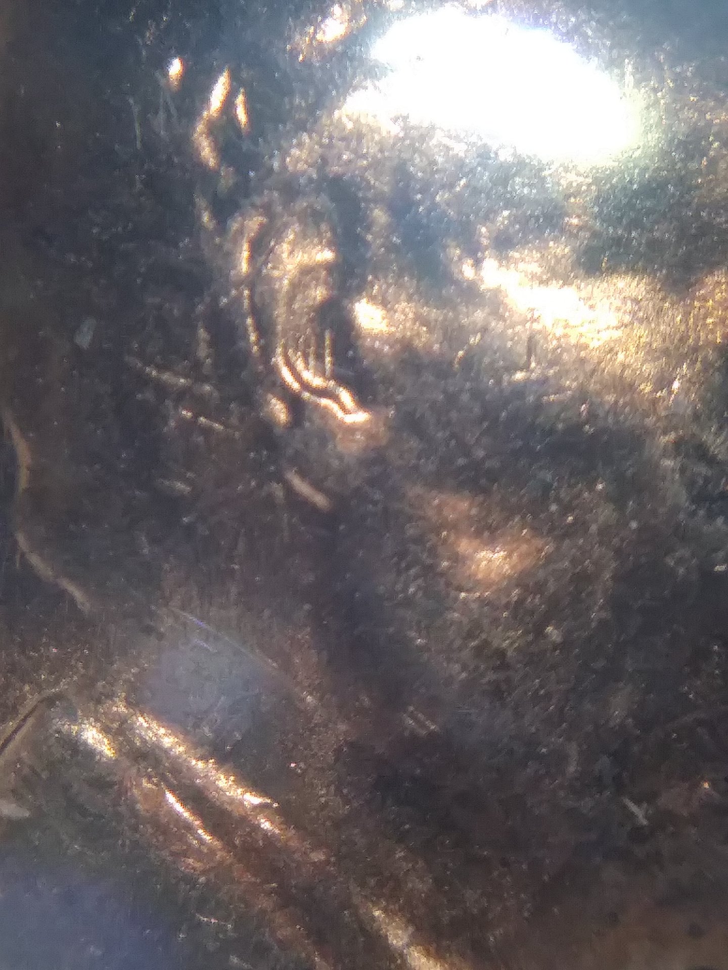 20190607_183405.jpg