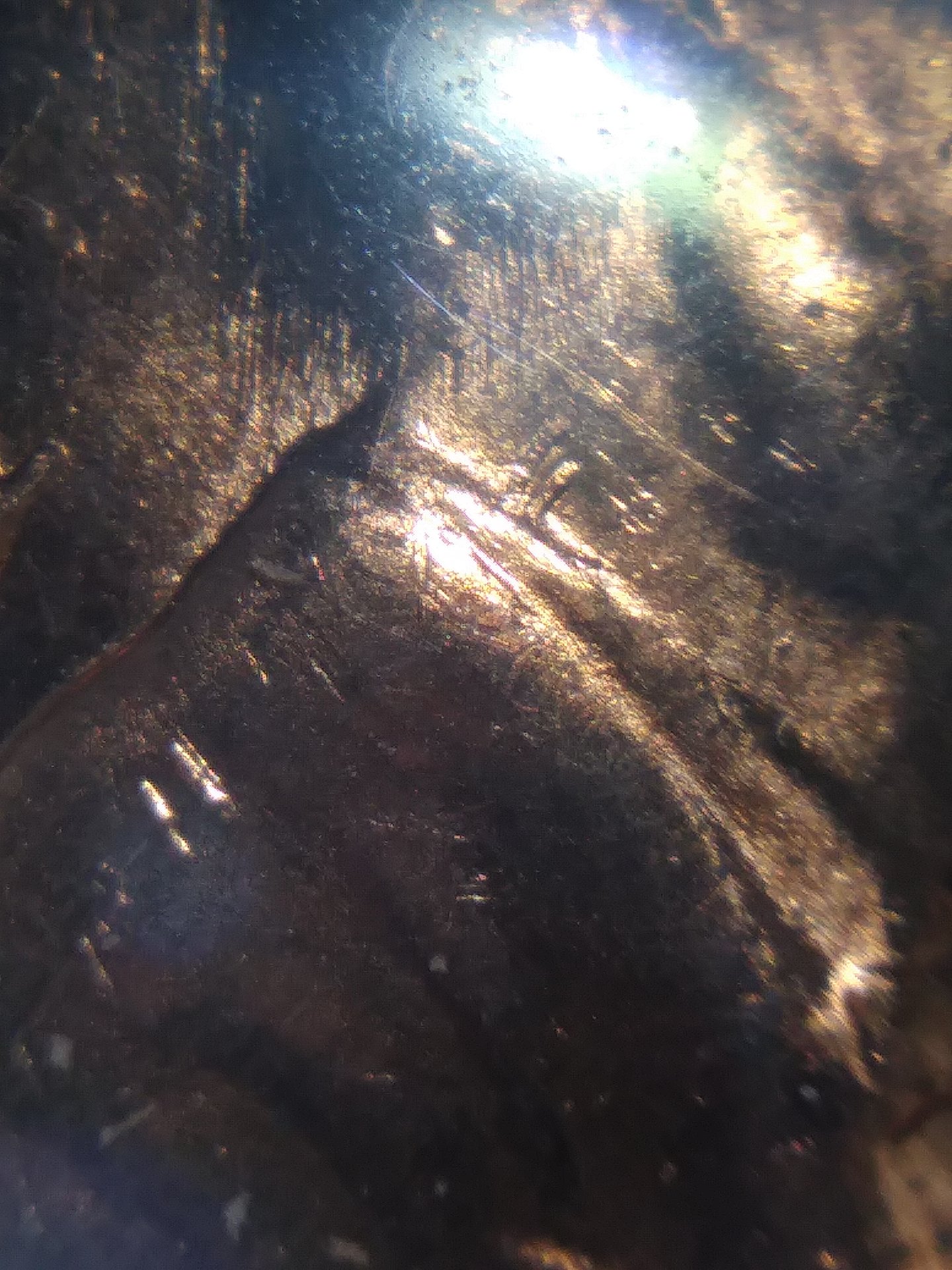 20190607_183438.jpg