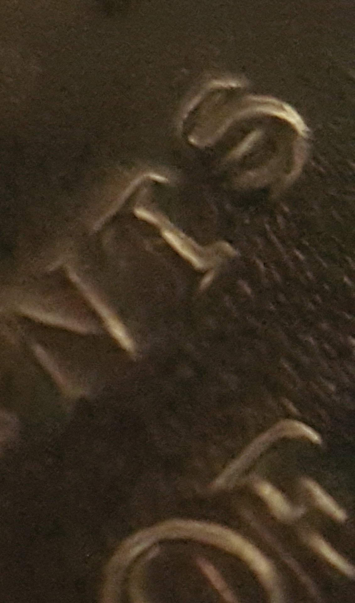 20190609_211736.jpg
