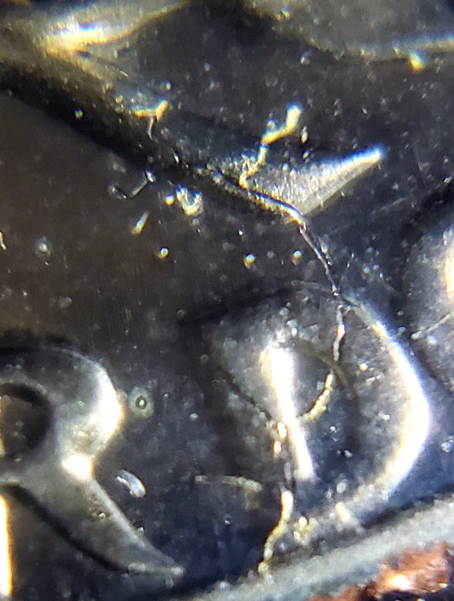20190612_094227.jpg
