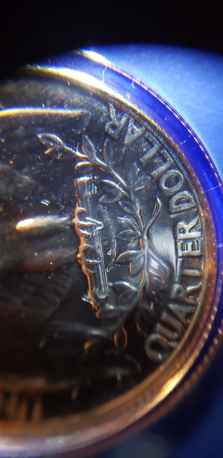 20190612_094407.jpg