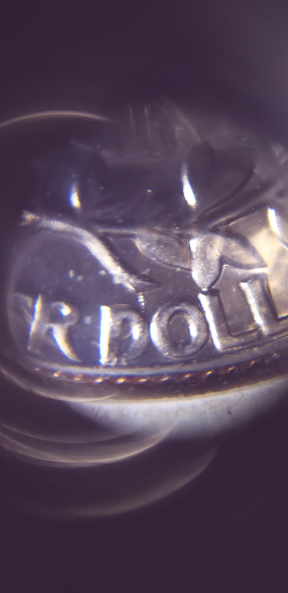 20190612_095244.jpg