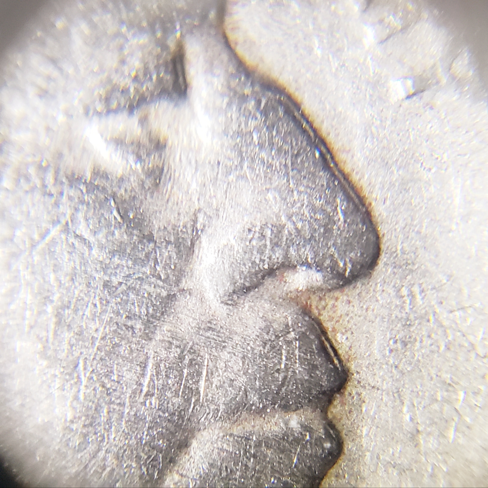 20190612_212708.jpg
