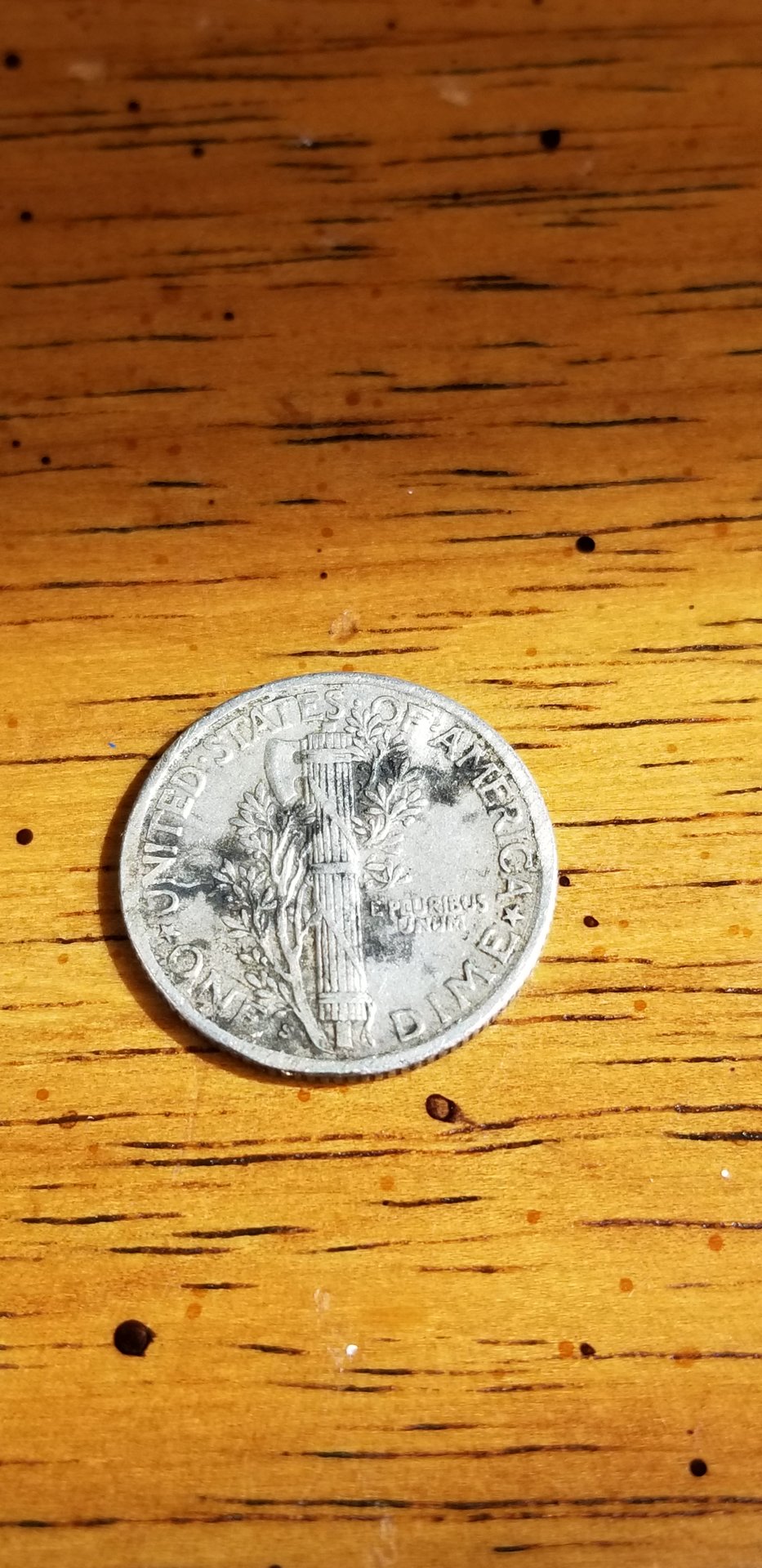 20190613_155522.jpg
