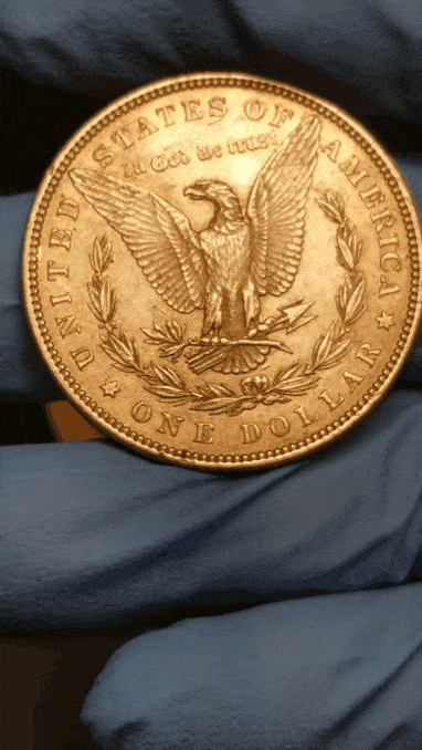 20190614_162504.gif