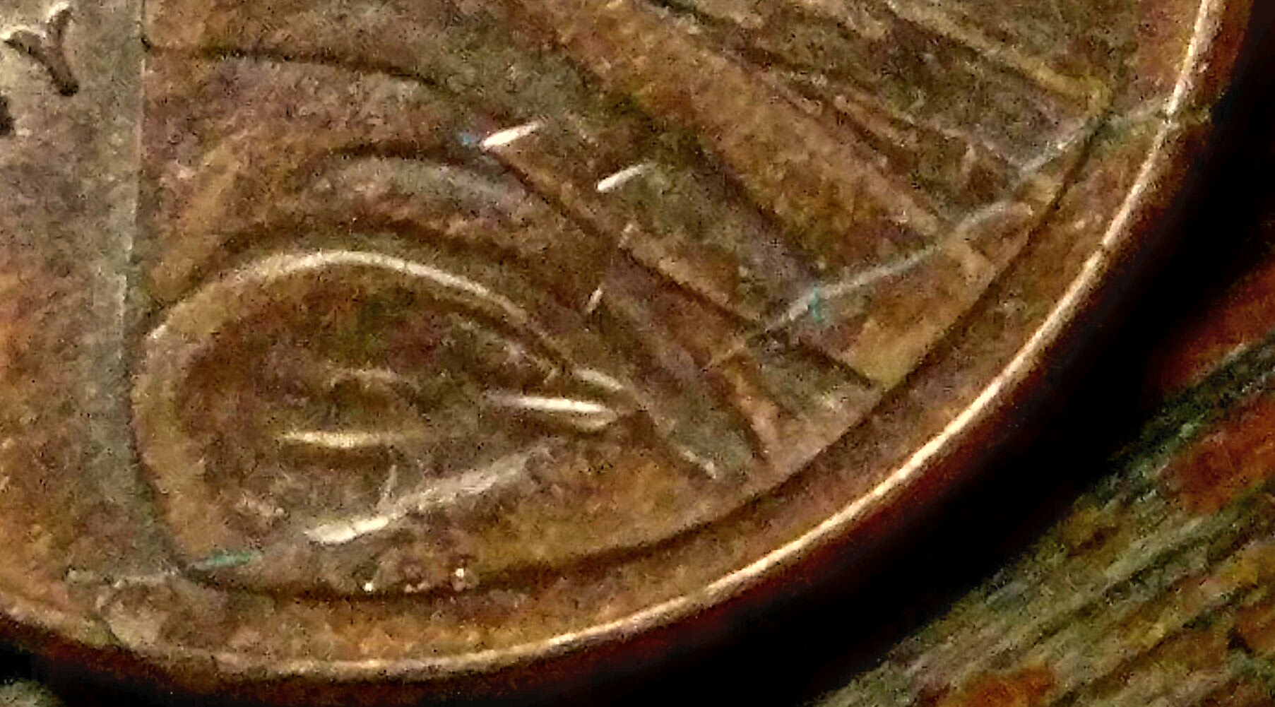 20190615_095256.jpg