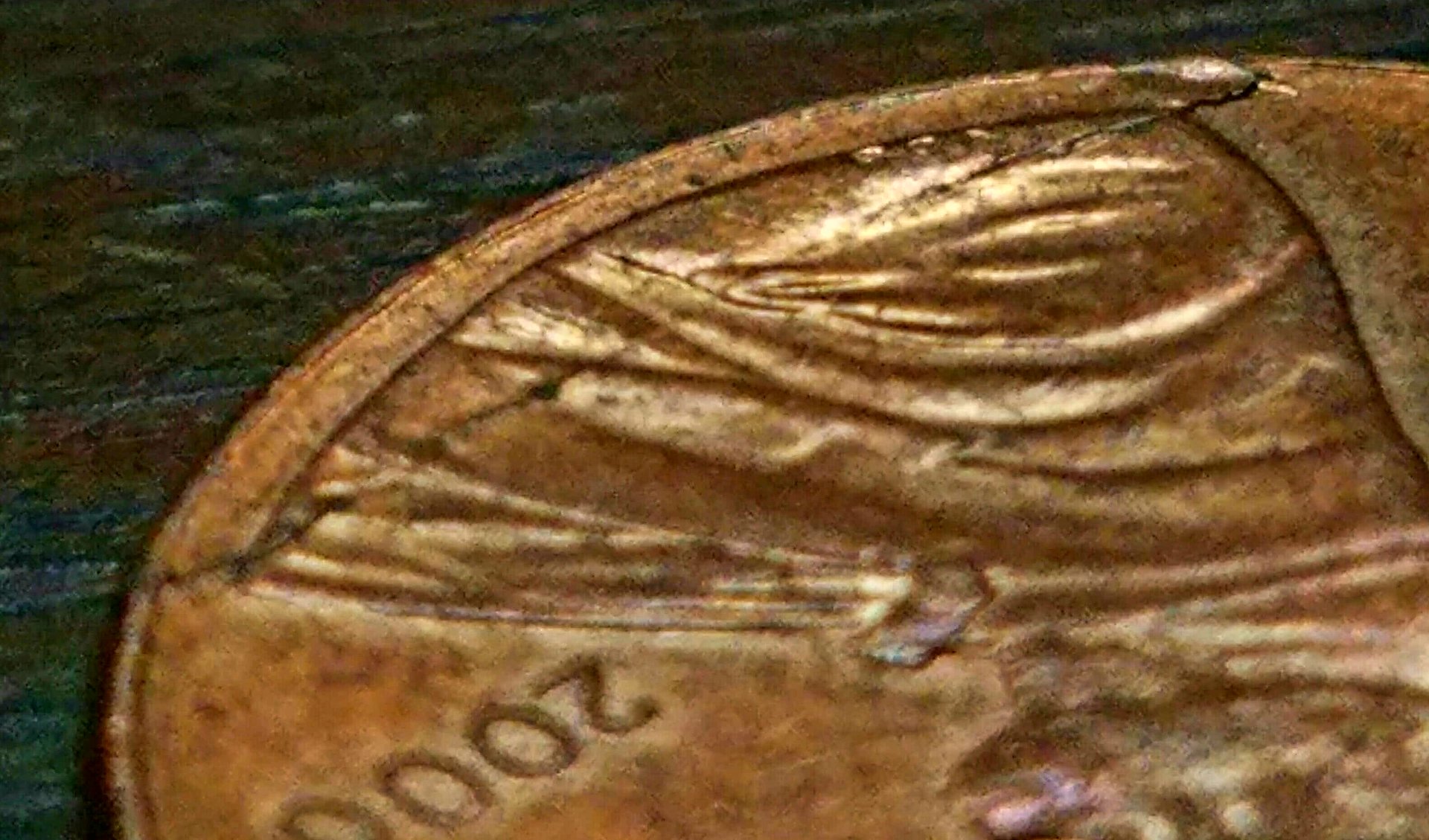 20190615_095545.jpg