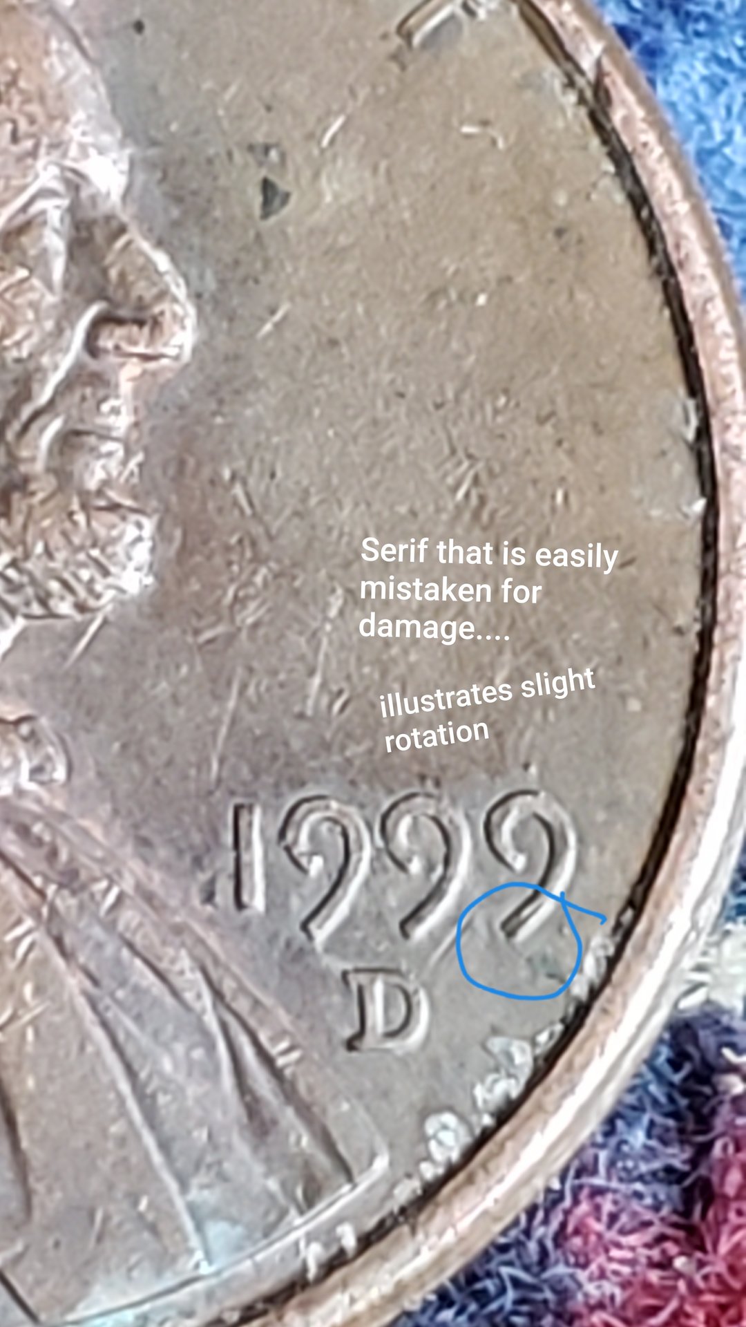 20190615_104157.jpg