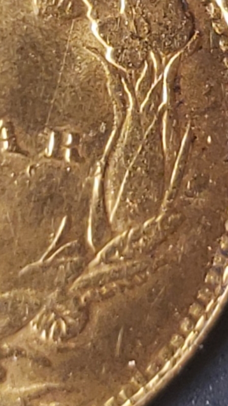 20190617_021524.jpg