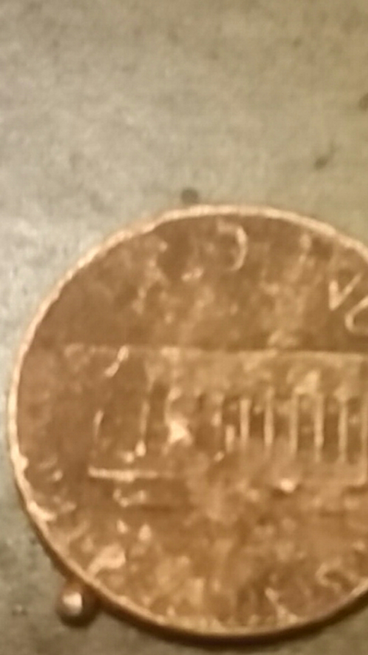 20190619_091106.jpg
