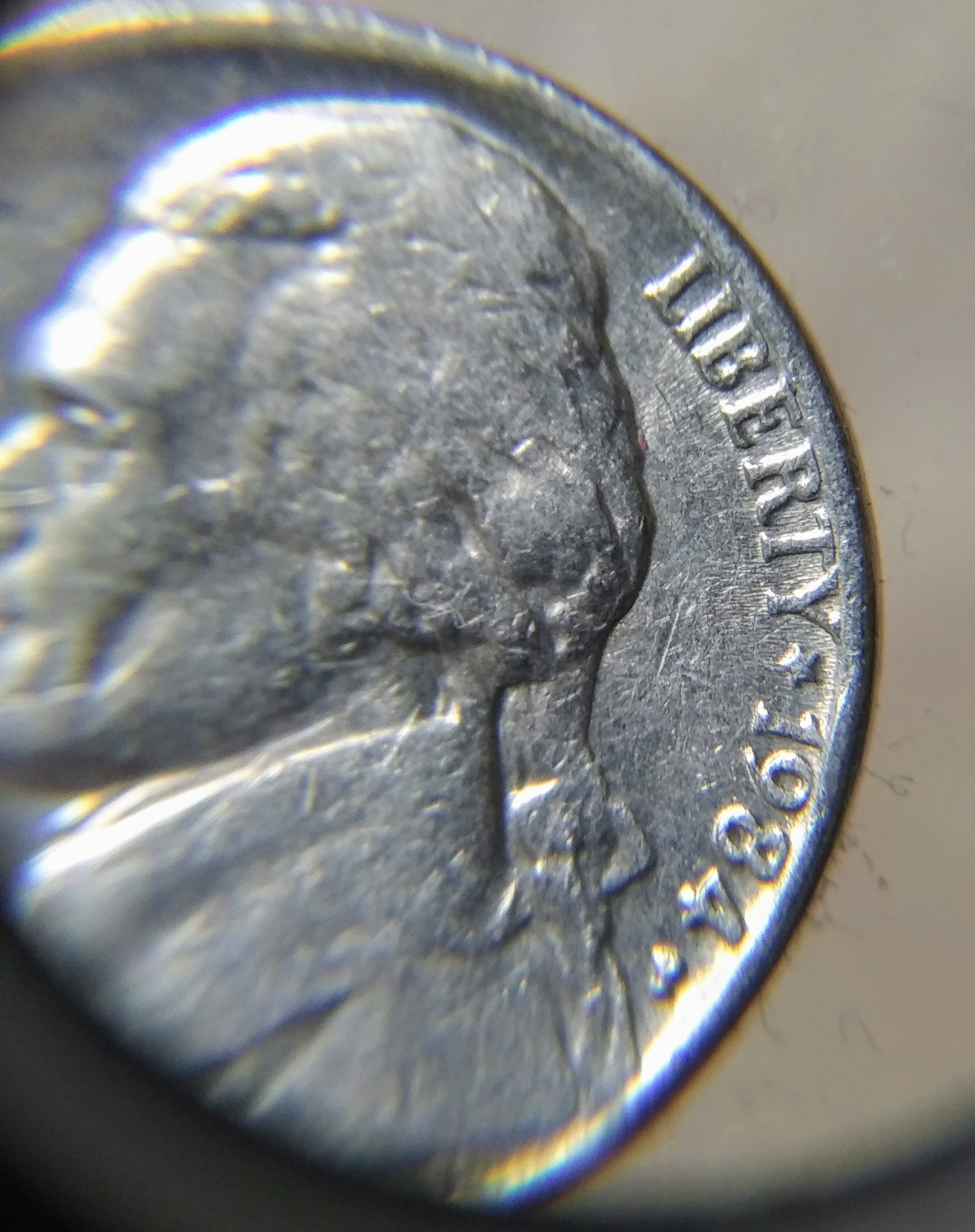 20190619_155452.jpg