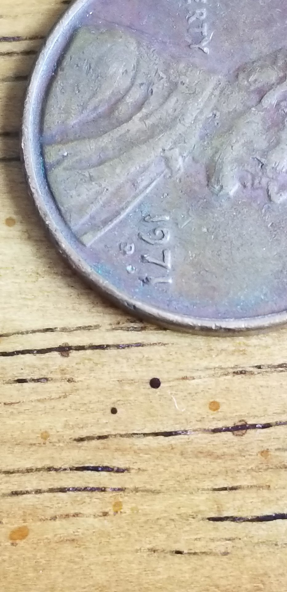 20190620_135203.jpg