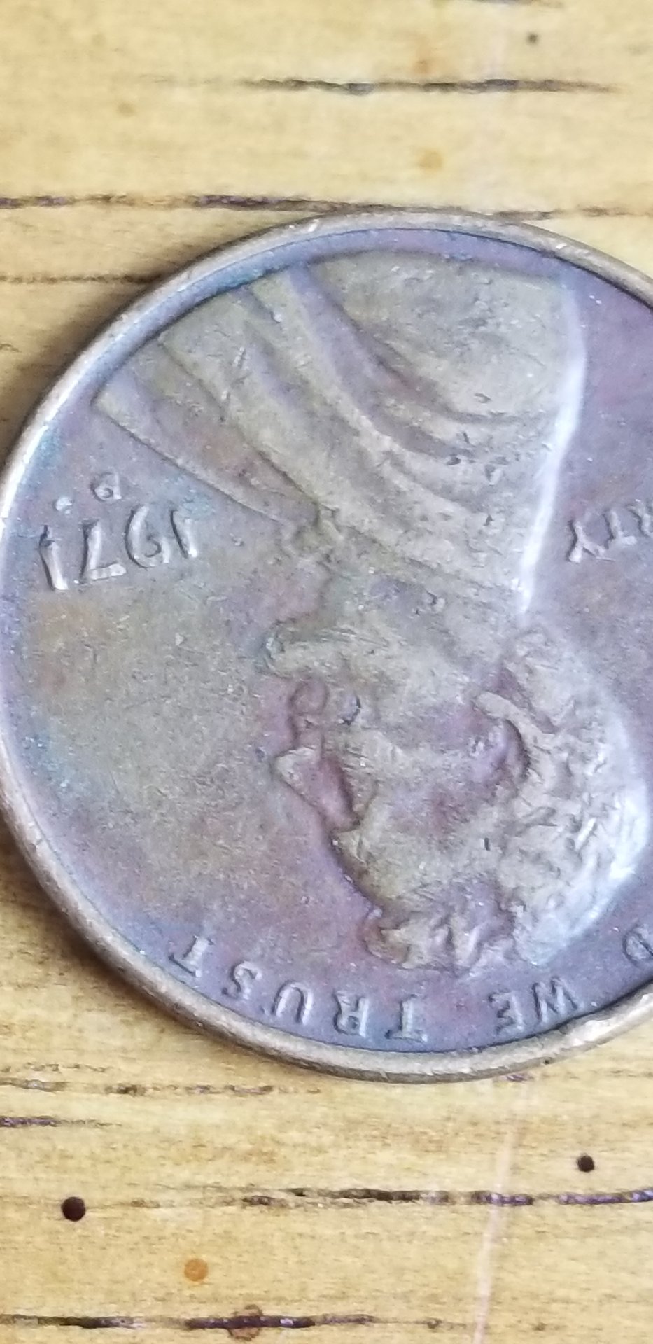 20190620_135218.jpg