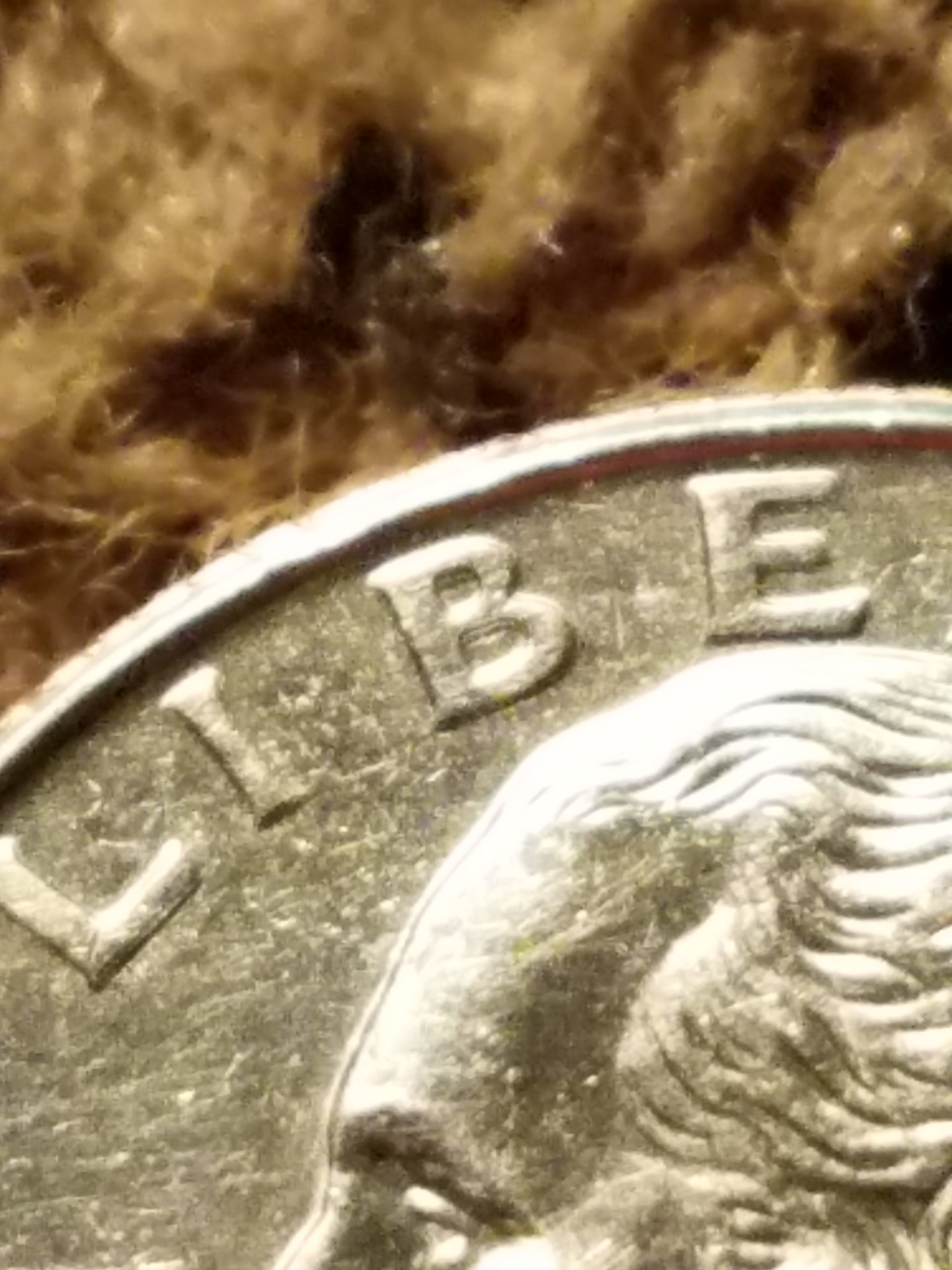 20190621_001508.jpg