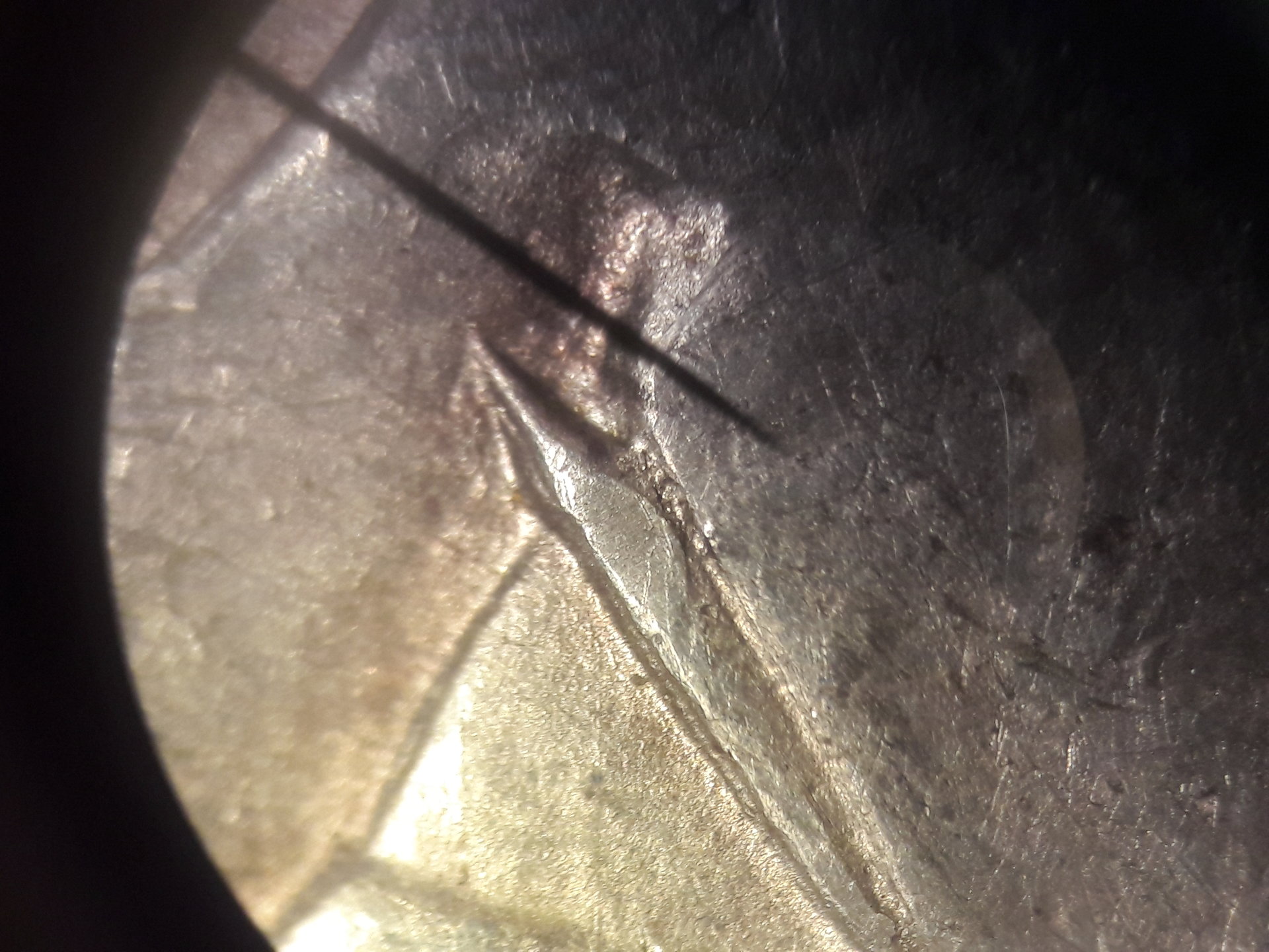 20190621_120210.jpg