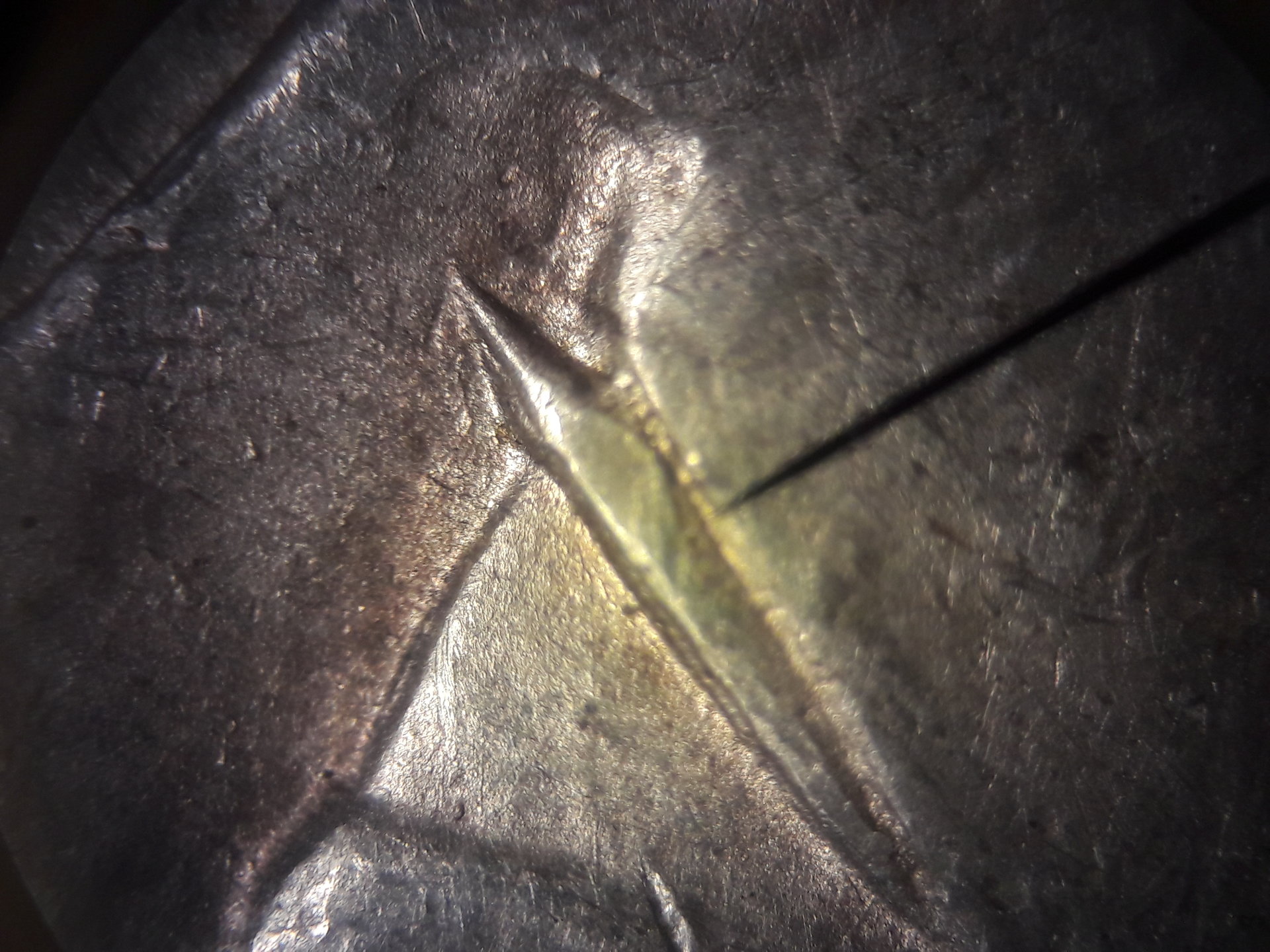 20190621_120247.jpg
