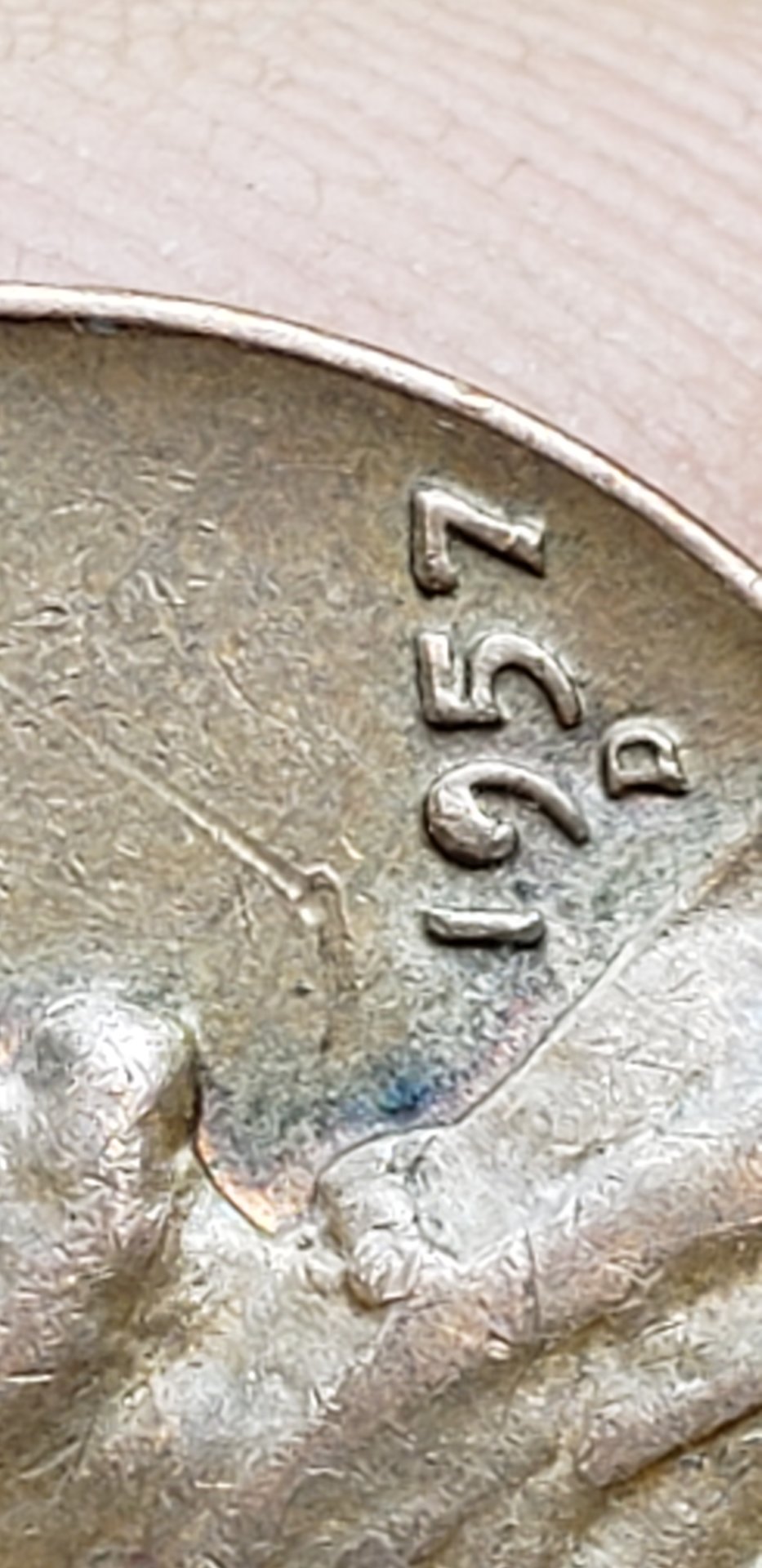 20190623_105801.jpg