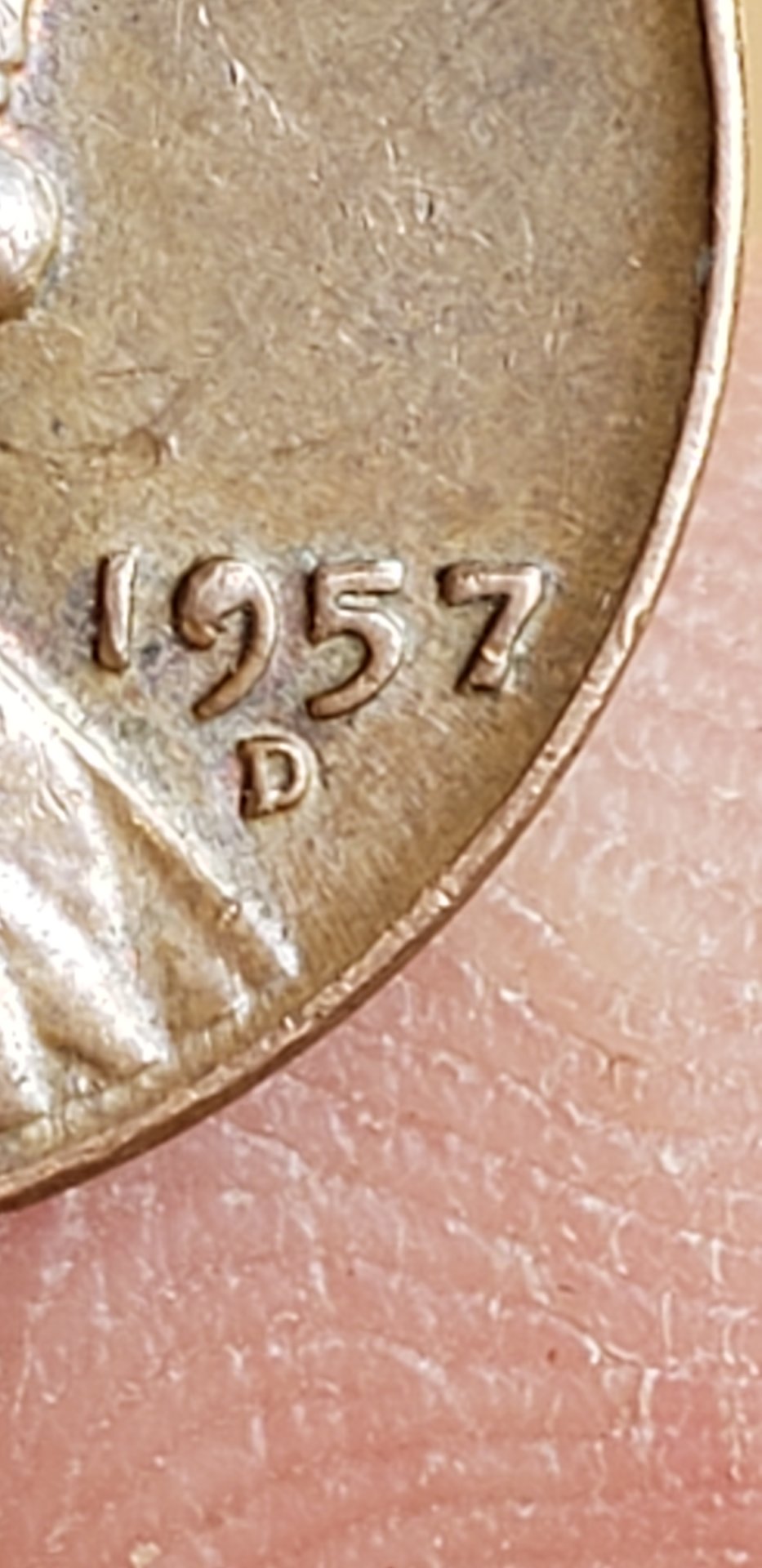 20190623_105858.jpg