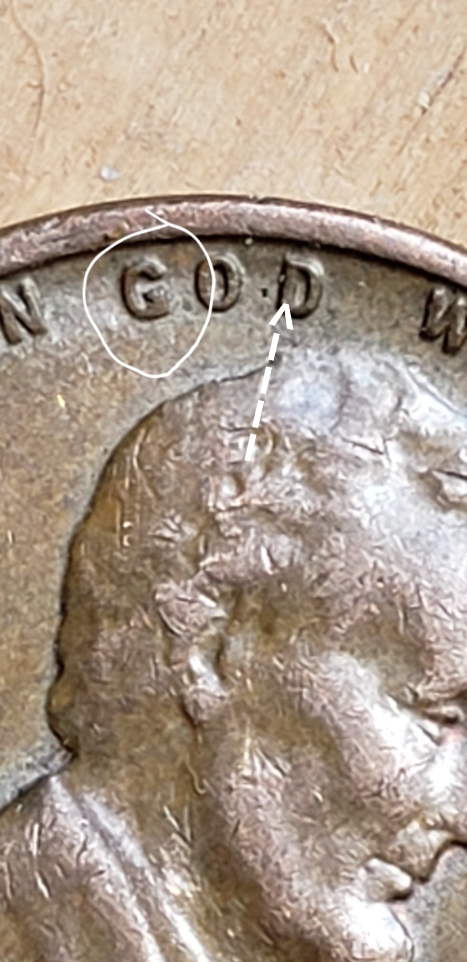 20190623_113645.jpg