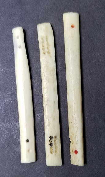20190623_121043.jpg