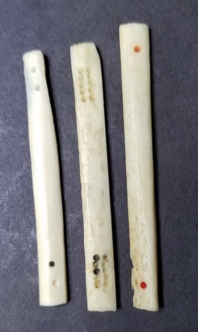 20190623_121043.jpg