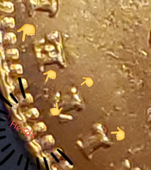 20190624_013906.jpg