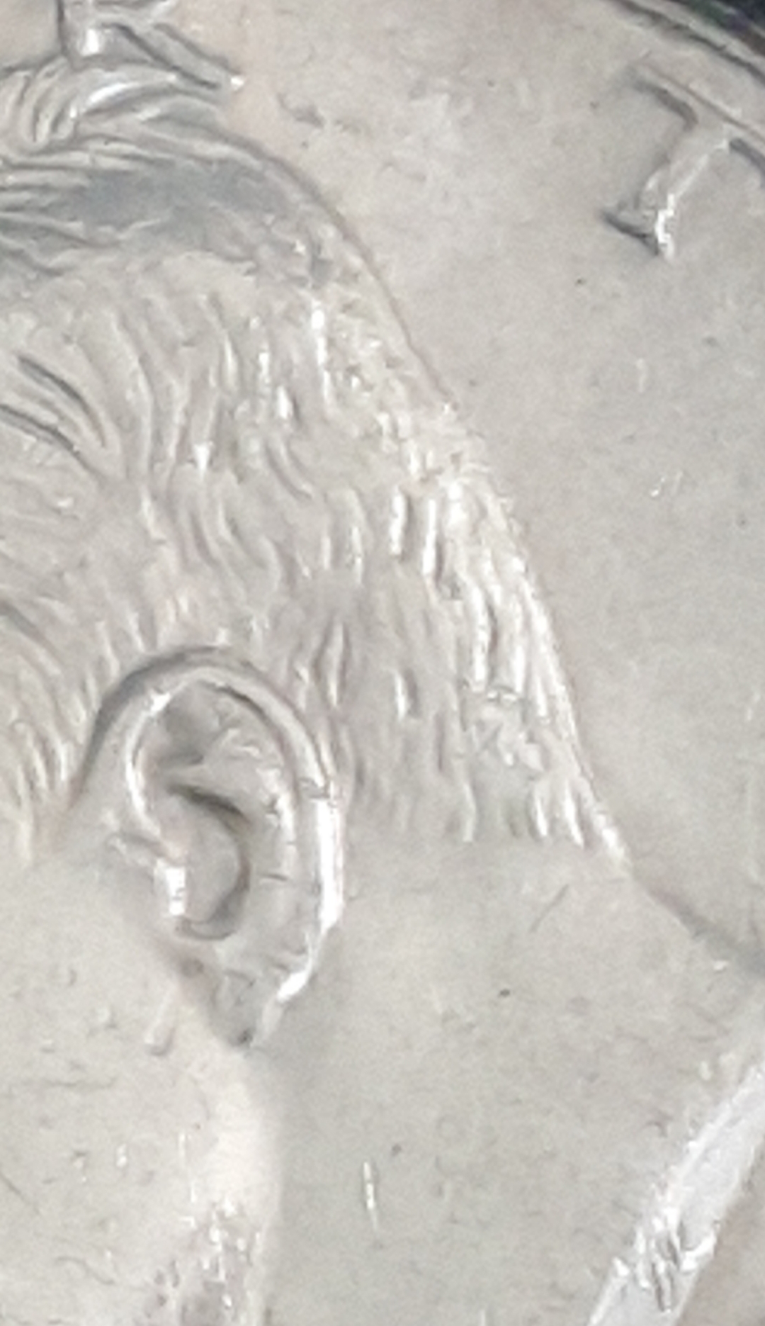 20190625_214645.jpg