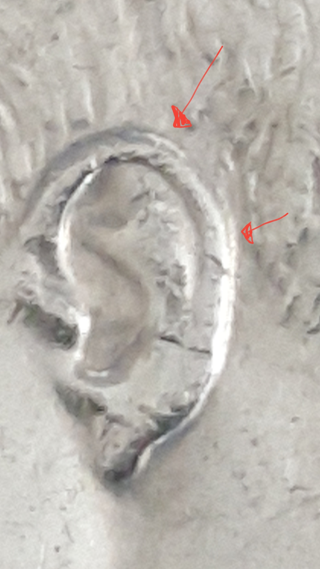 20190625_214755.jpg