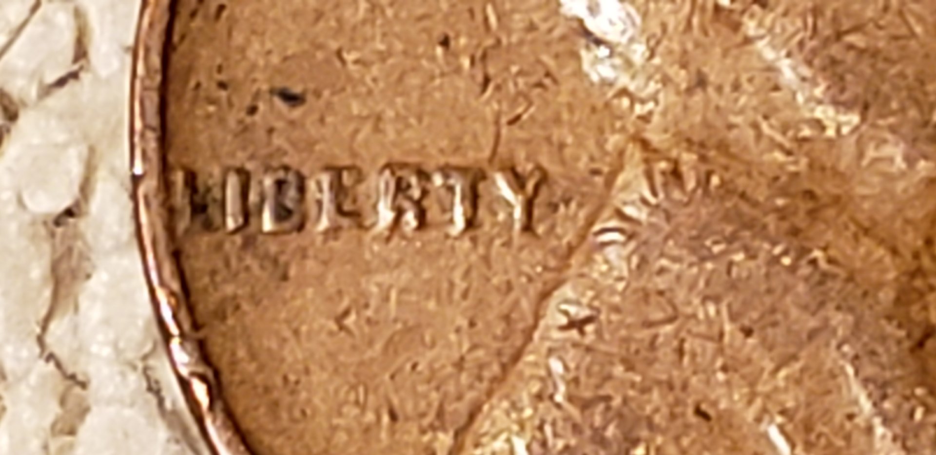 20190626_002717.jpg