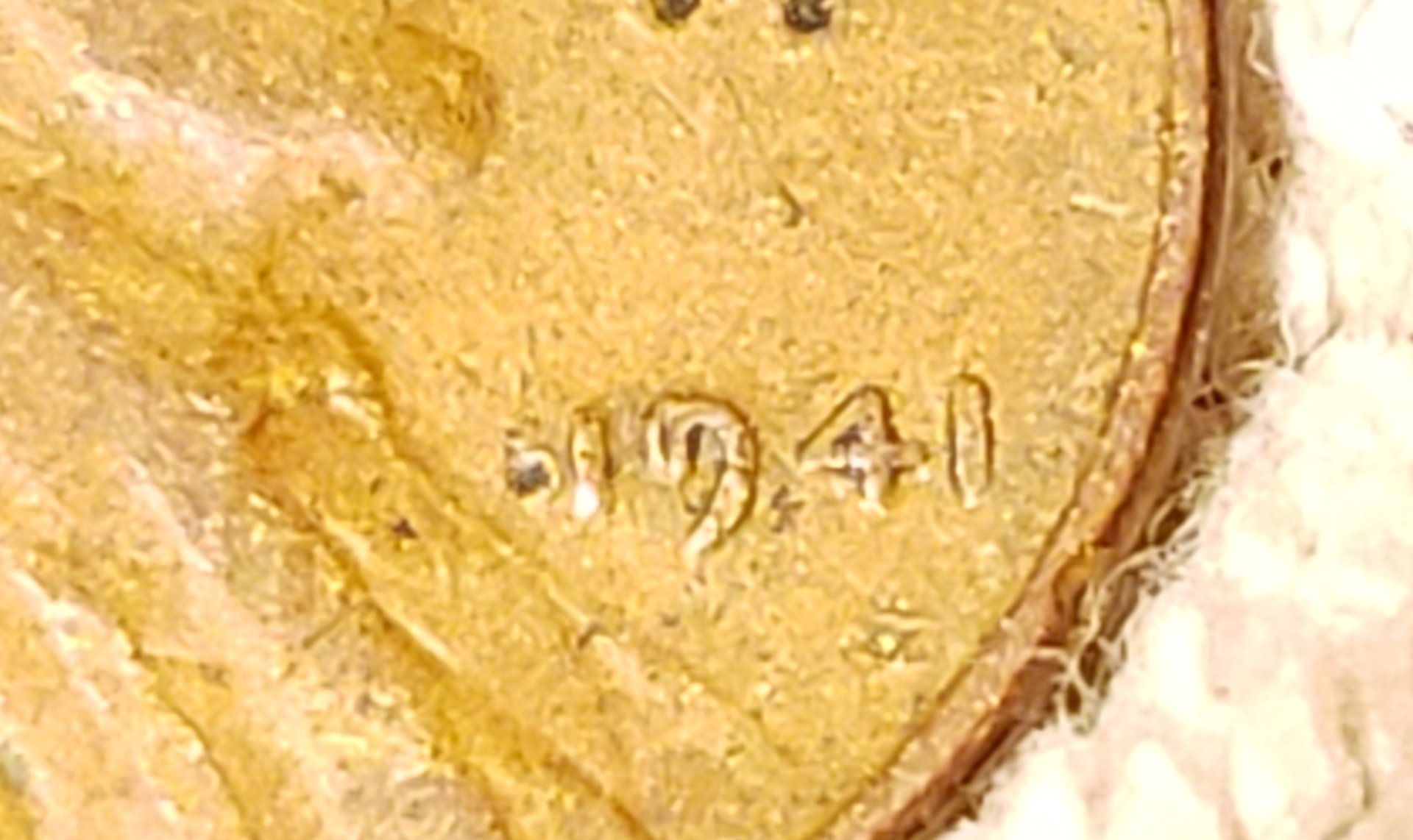 20190626_002945.jpg