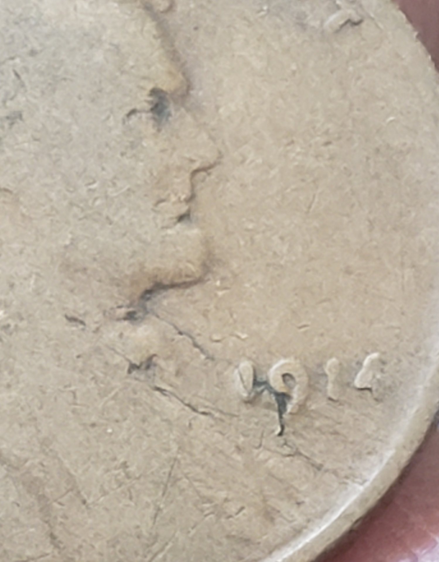 20190626_133751.jpg
