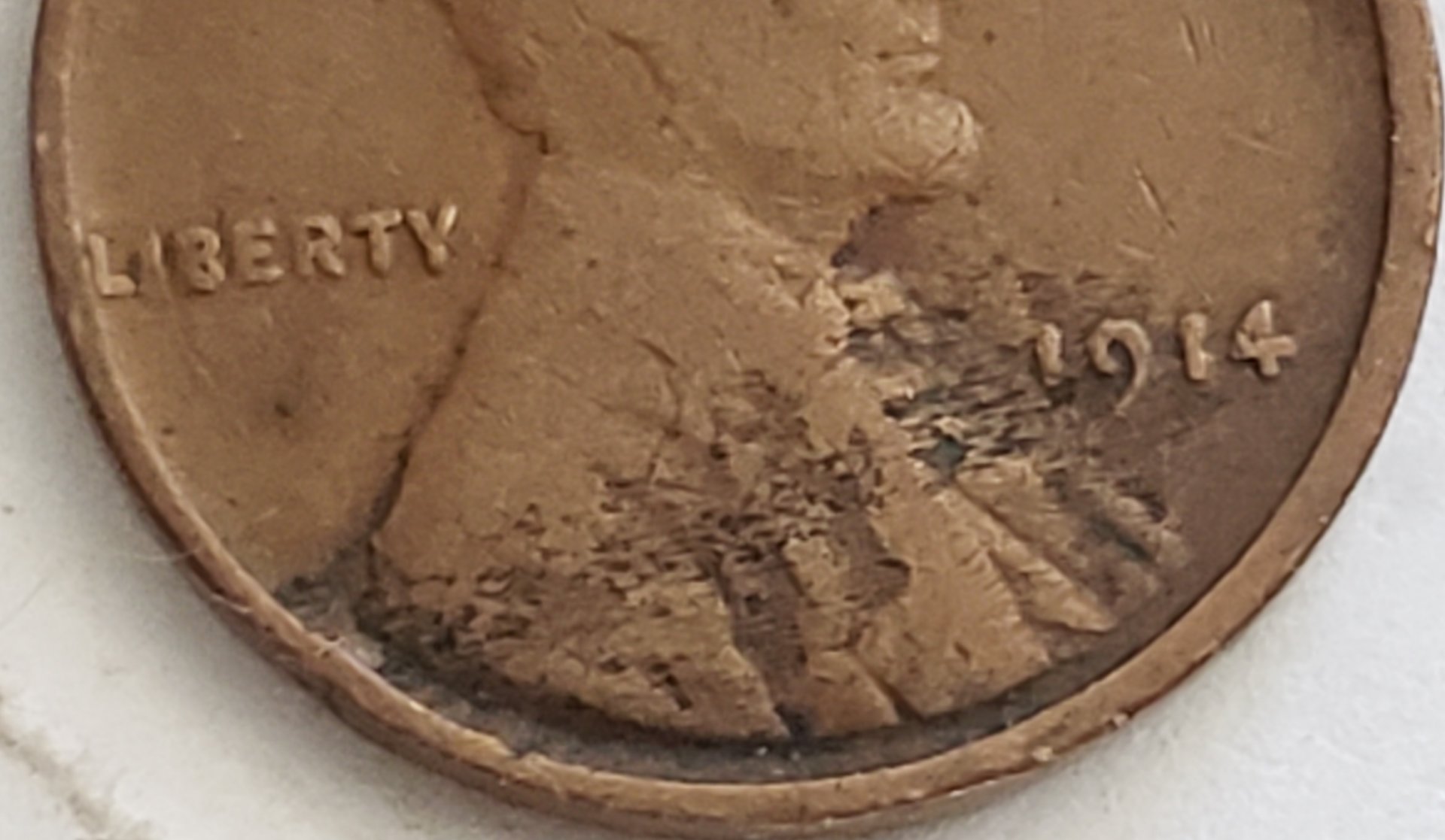 20190626_134118.jpg
