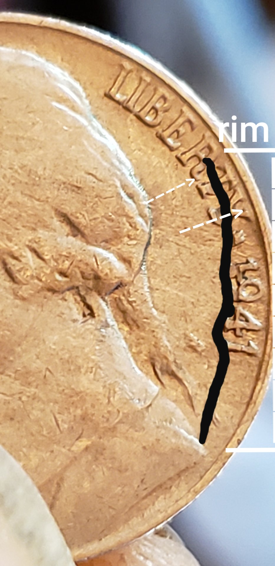 20190627_104008.jpg