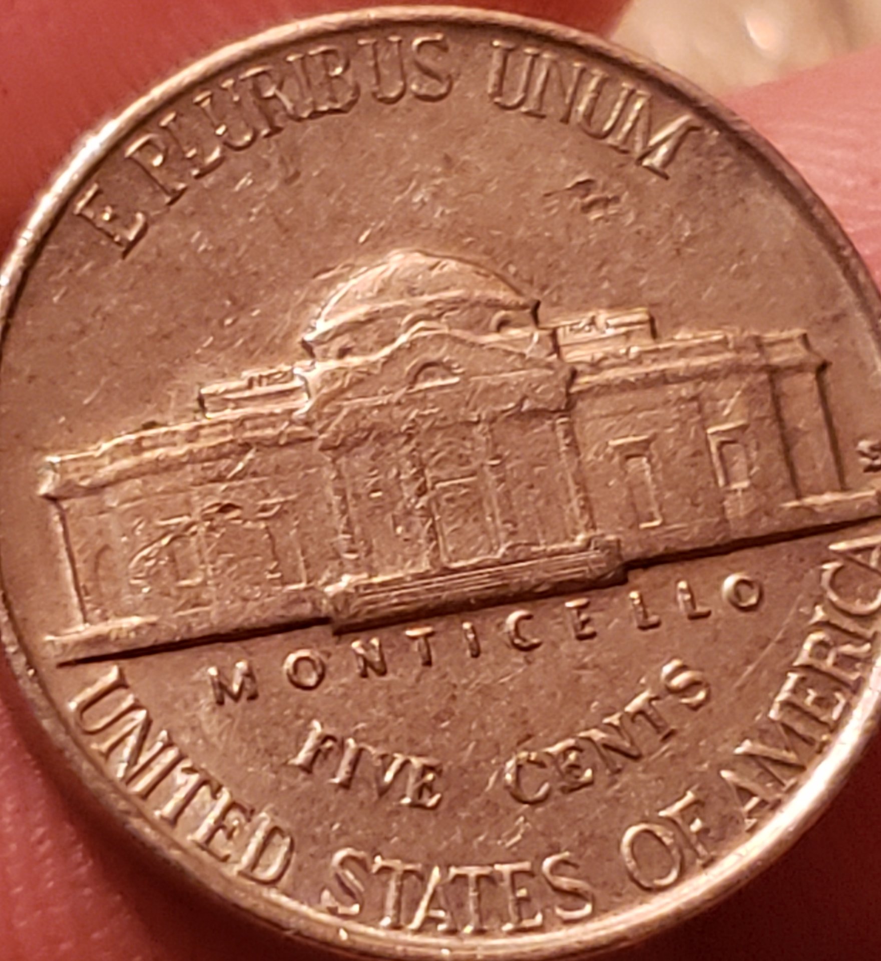 20190627_105955.jpg