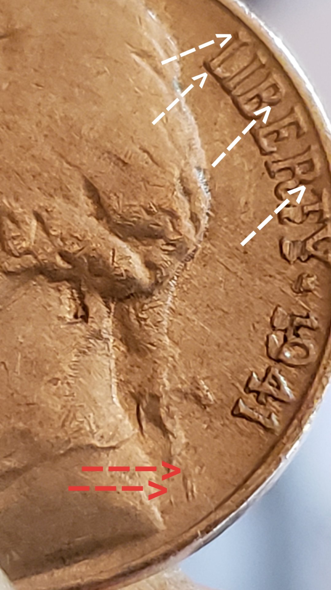 20190627_110826.jpg