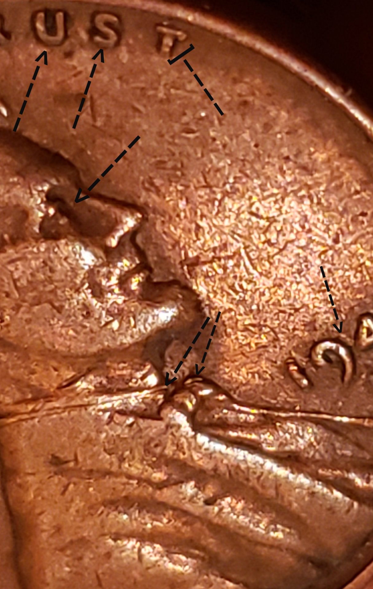 20190628_160834.jpg