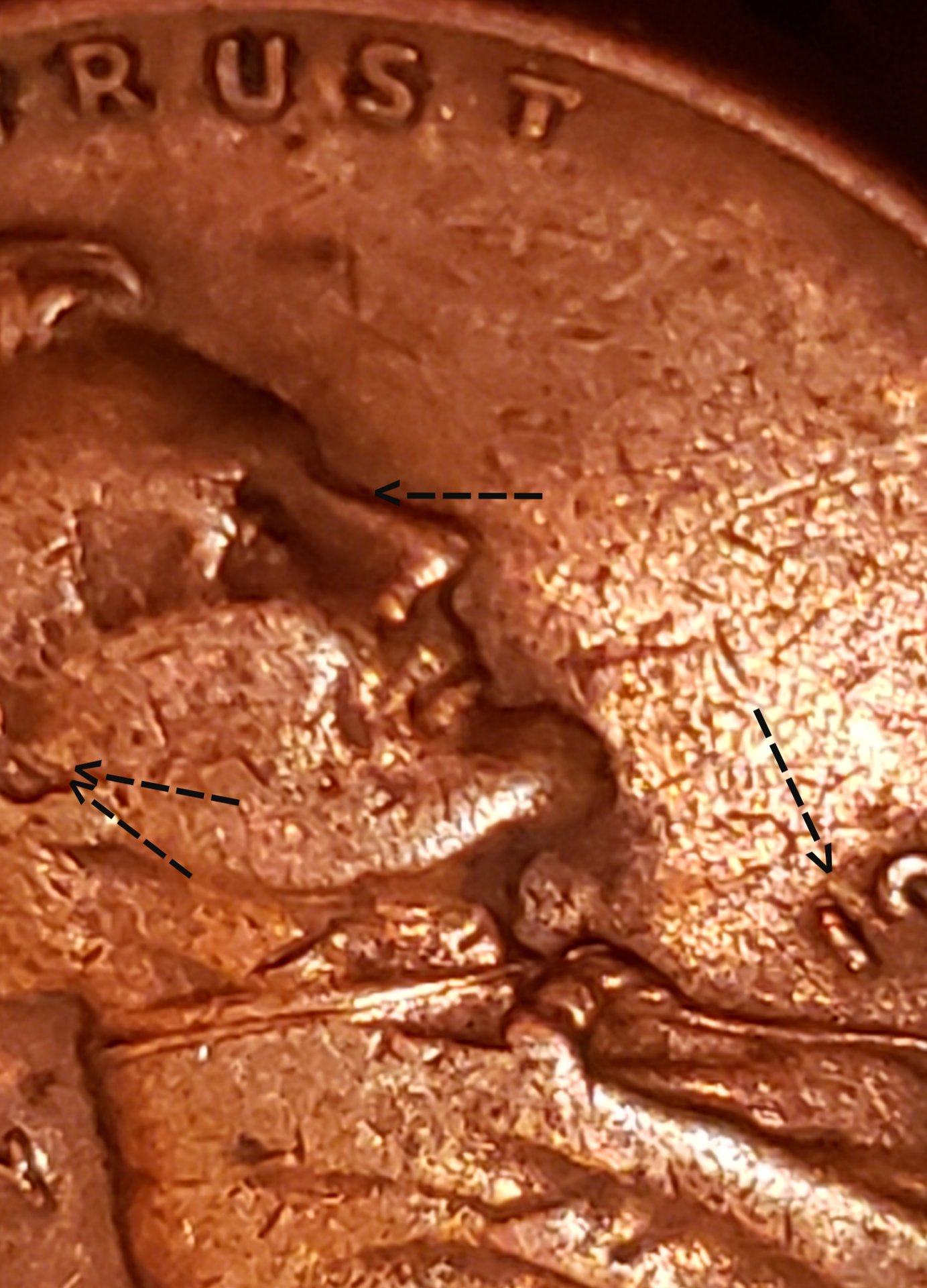 20190628_161132.jpg