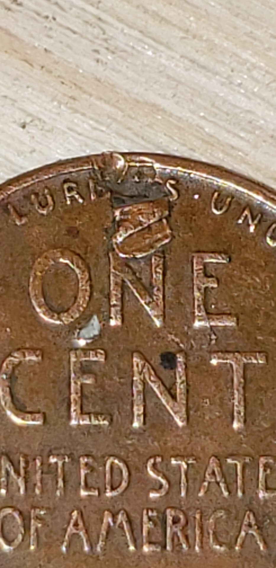 20190628_164940.jpg