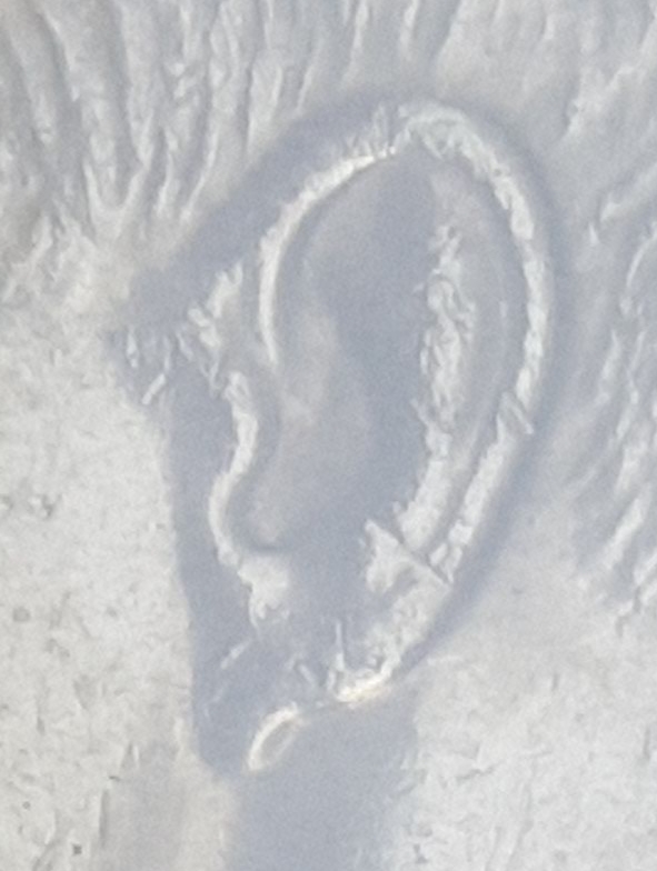 20190628_204650.jpg