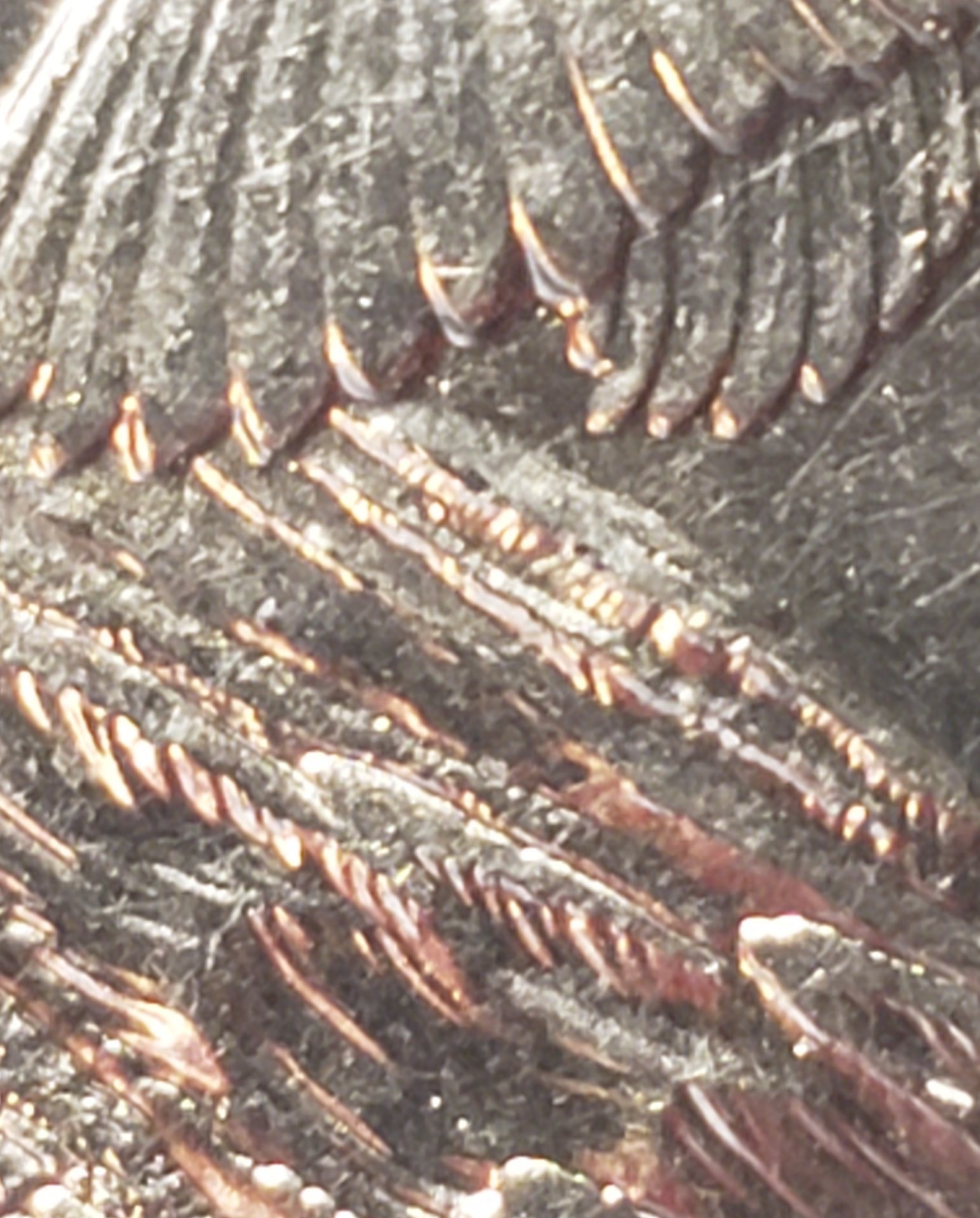 20190628_205419.jpg