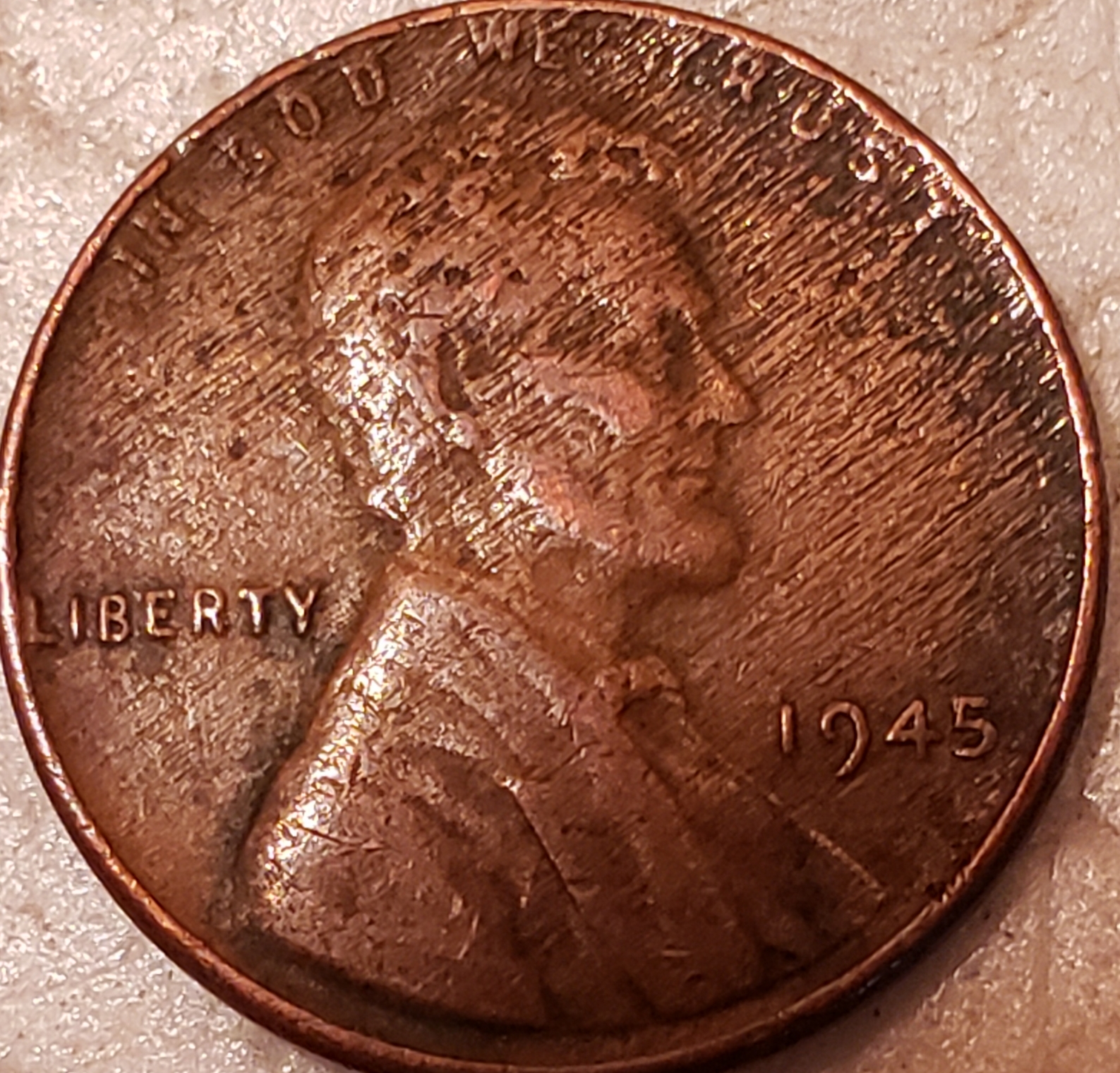 20190629_133102.jpg