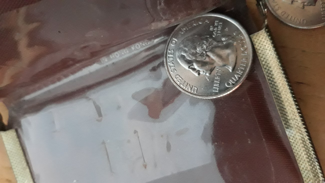 20190629_201854-ccfopt.jpg