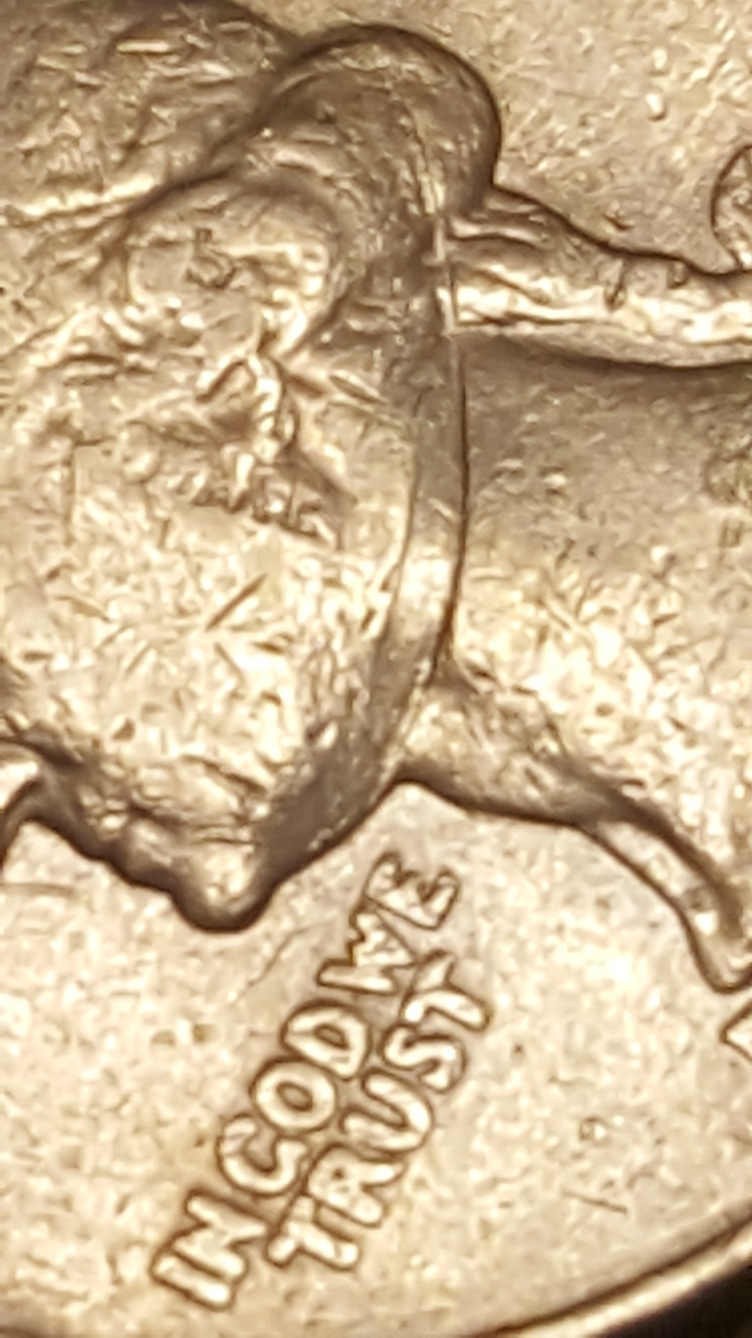 20190702_222843.jpg