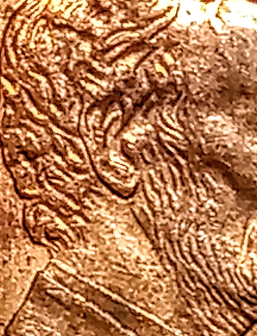 20190704_121018~2.jpg