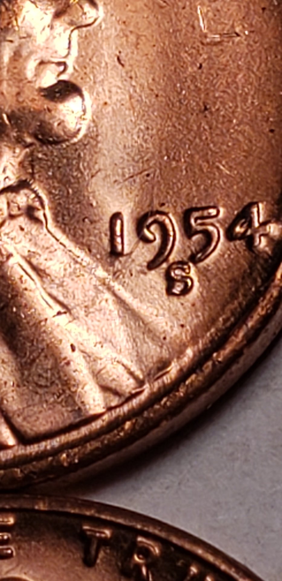 20190707_104207.jpg
